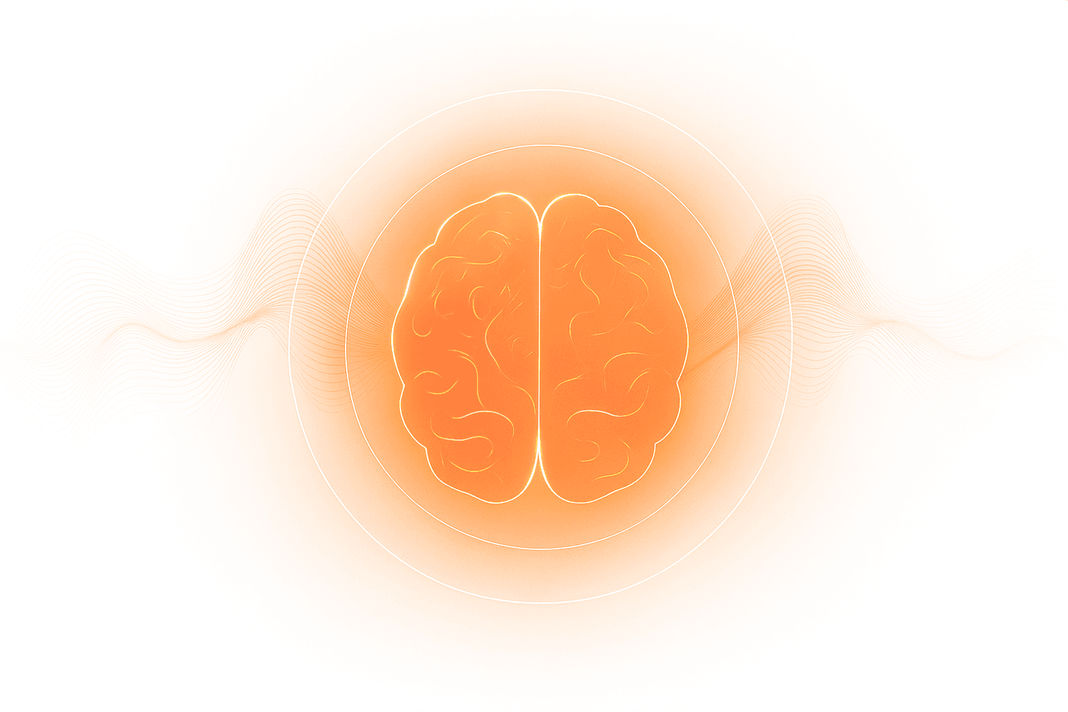 BRNLIT brain visualization